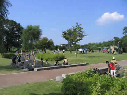 蓼沼親水公園1