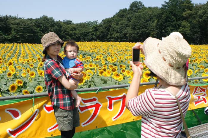 満開のひまわりをバックに（上三川サンフラワー祭り）