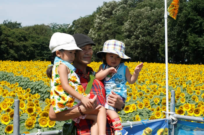 かみのかわサンフラワー祭り