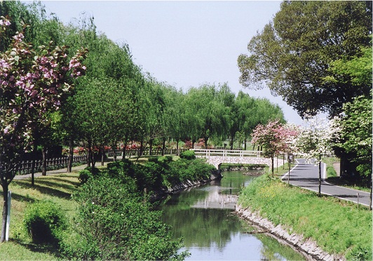 水環境神主公園の写真