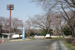富士山公園 富士山公園