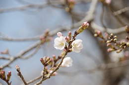 城址公園