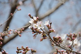 蓼沼親水公園 蓼沼親水公園