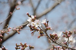 蓼沼親水公園