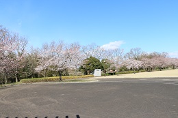 蓼沼親水公園