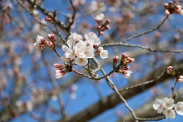 蓼沼親水公園