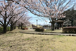 しらさぎ公園