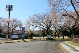 富士山公園 富士山公園