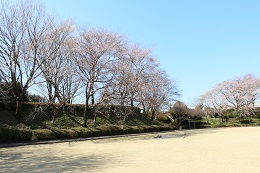 城址公園