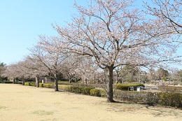 蓼沼親水公園