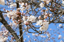 蓼沼親水公園