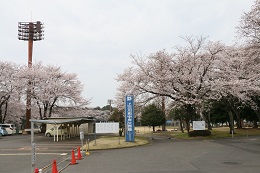 富士山公園 富士山公園