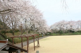 城址公園