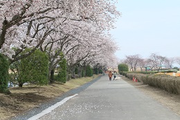 桃畑緑地公園 桃畑緑地公園