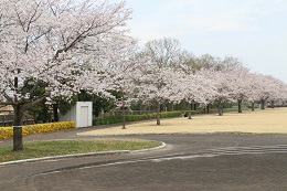 蓼沼親水公園