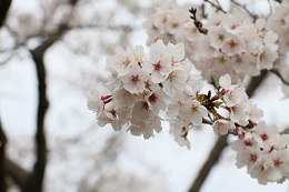 蓼沼親水公園