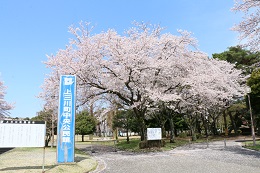 富士山公園