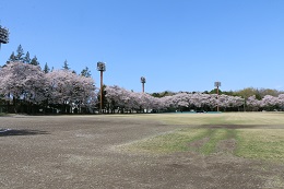 富士山公園 富士山公園