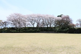 城址公園