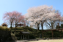 城址公園