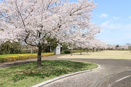 蓼沼親水公園