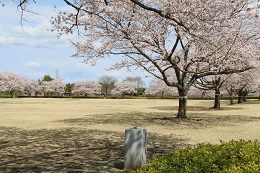 蓼沼親水公園 蓼沼親水公園