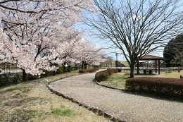 しらさぎ公園 しらさぎ公園