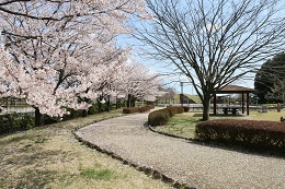 しらさぎ公園