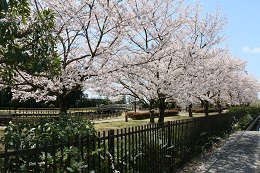しらさぎ公園 しらさぎ公園