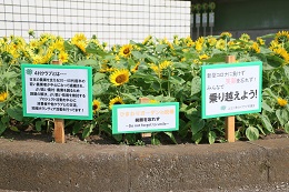 ひまわり (2) ひまわり (2)