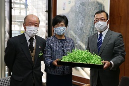 シトラスリボン寄付 シトラスリボン寄付