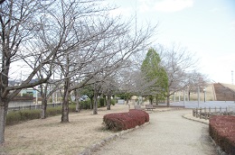 しらさぎ公園 03.14