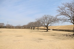 蓼沼親水公園 03.16 (2)