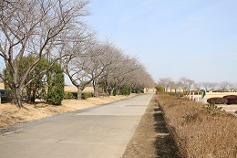 桃畑緑地公園 03.16 (2)