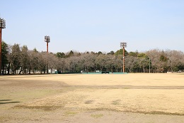 富士山公園 03.16 (2)