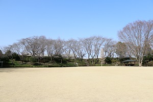 城址公園 03.17 (2) 城址公園 03.17 (2)