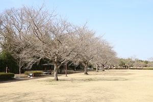 蓼沼親水公園 03.17 (2)