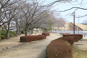 しらさぎ公園 03.17 (2) しらさぎ公園 03.17 (2)