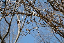 城址公園 03.18 城址公園 03.18