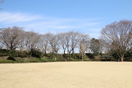 城址公園 03.18