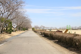 桃畑緑地公園 03.18 桃畑緑地公園 03.18