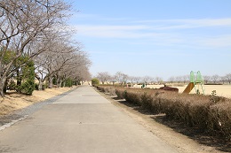 桃畑緑地公園 03.18