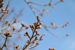 蓼沼親水公園 03.18