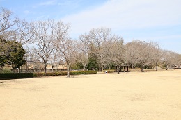 蓼沼親水公園 03.18