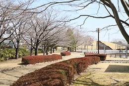 しらさぎ公園 03.18 しらさぎ公園 03.18