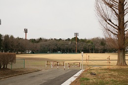 富士山公園 03.19 (2)