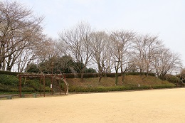 城址公園 03.19 (2) 城址公園 03.19 (2)