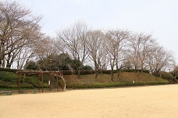 城址公園 03.19 (2)