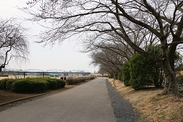 桃畑緑地公園 03.19 (2) 桃畑緑地公園 03.19 (2)