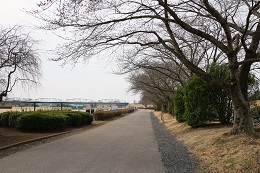 桃畑緑地公園 03.19 (2)